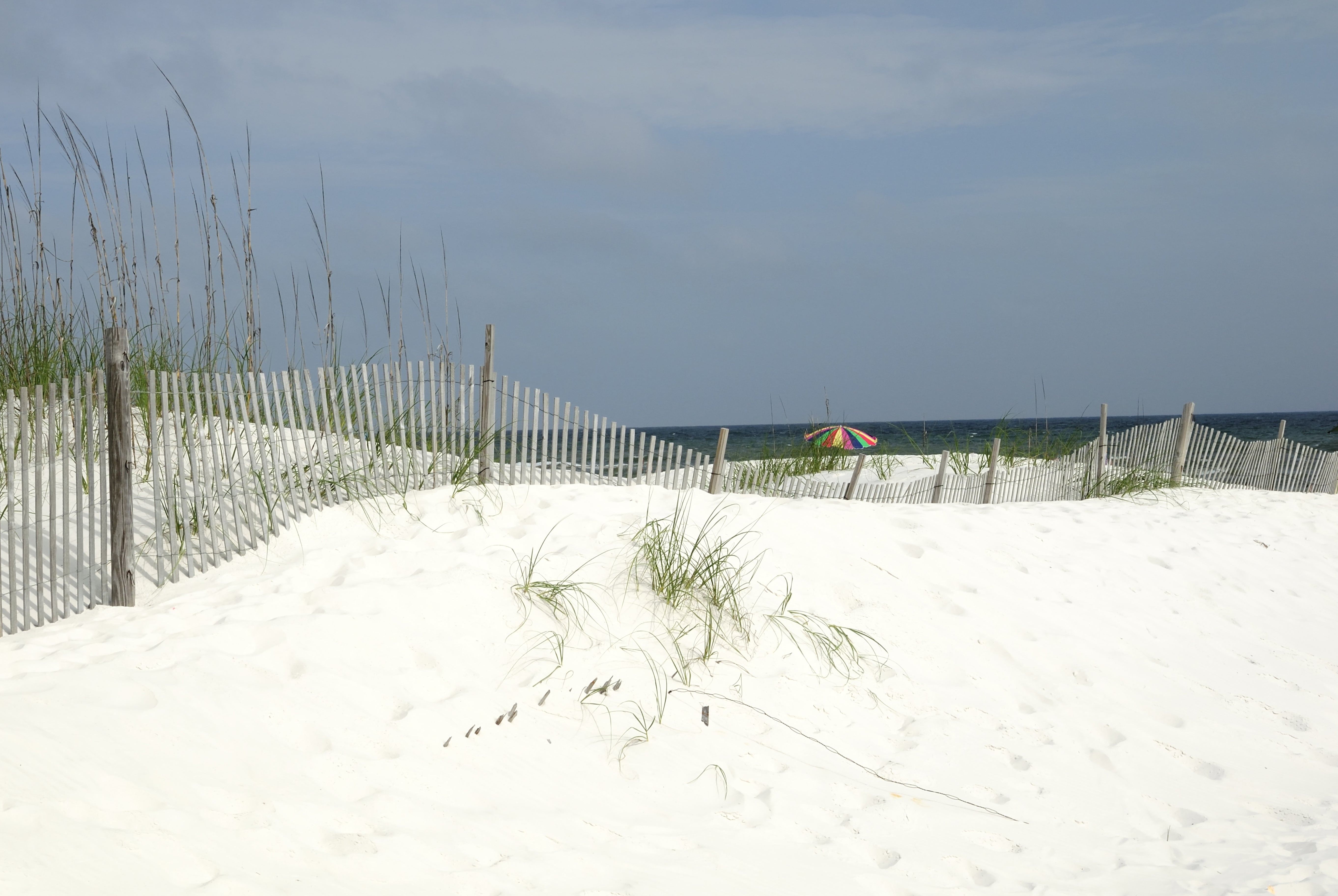 Stunning Alabama Gulf Coast Wall Art for Your Home Decor