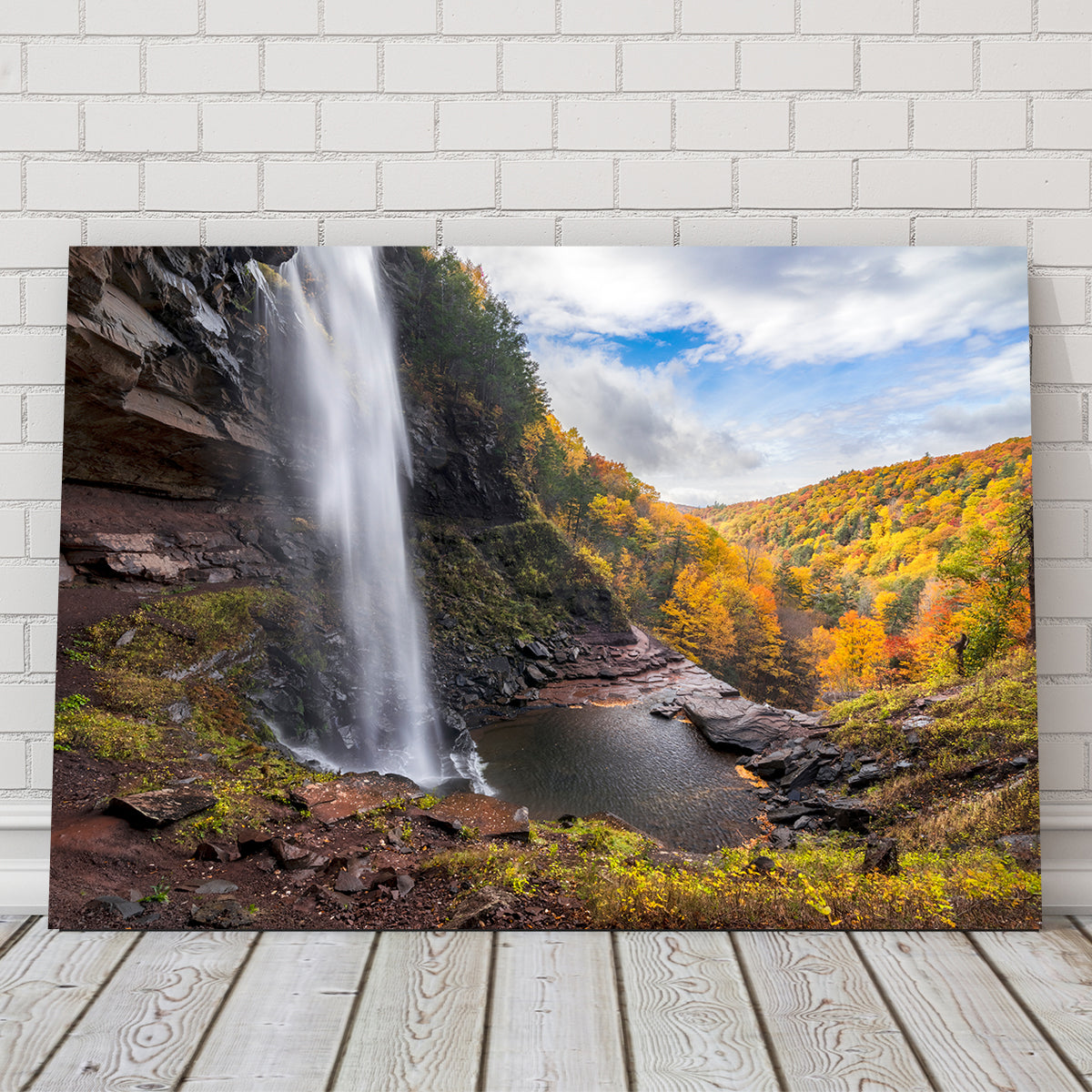 Stunning Behind the Falls Wall Art by Shaun Mayer