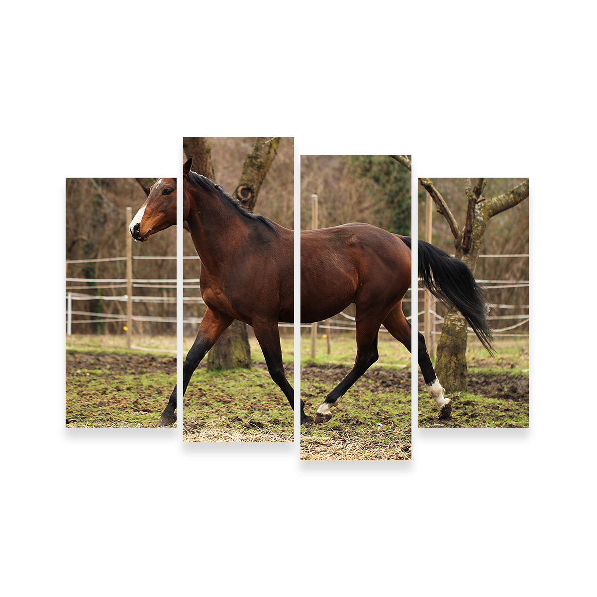 Exquisite American Quarter Horse Stallion Wall Art for Your Home Decor