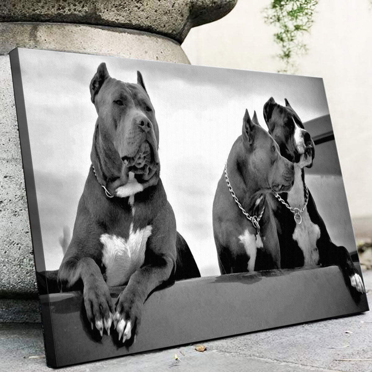 Stunning Pit Bulls Wall Art for Your Home Decor
