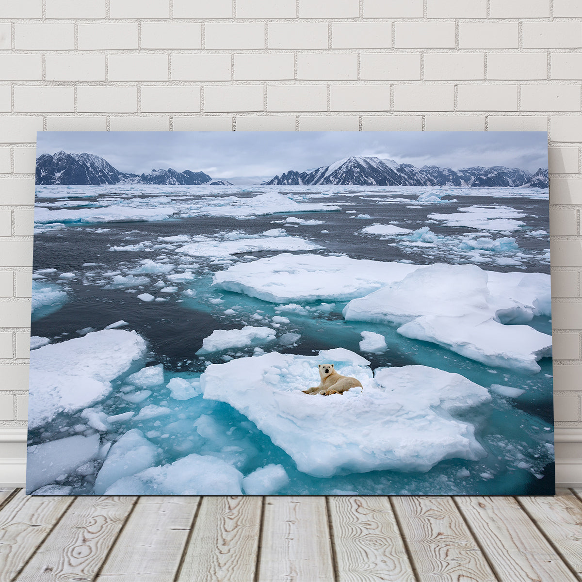 Stunning Polar Bear - Greenland Wall Art for Home Decor