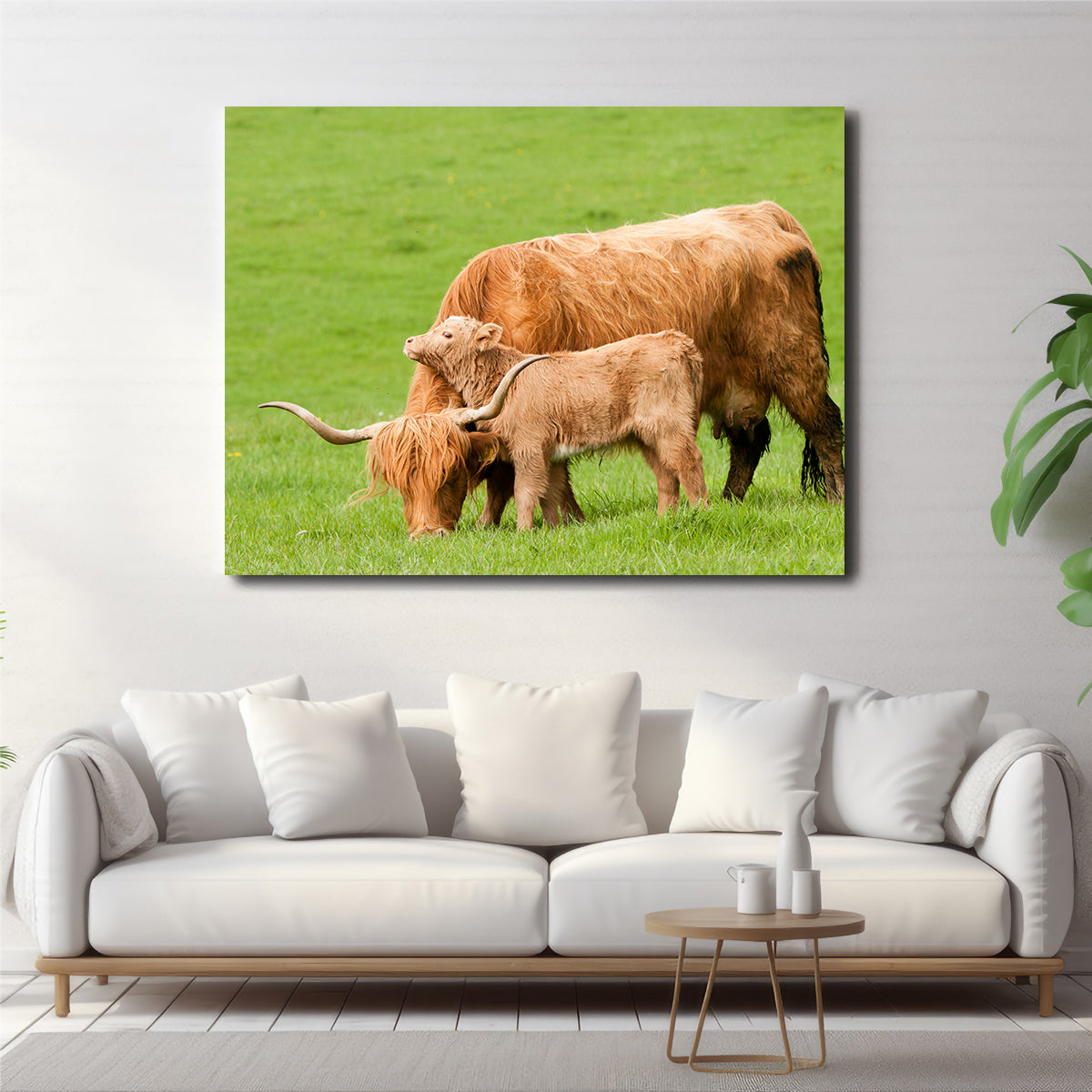 Charming Highland Cow with Adorable Loving Calf Wall Art for Stunning Home Decor
