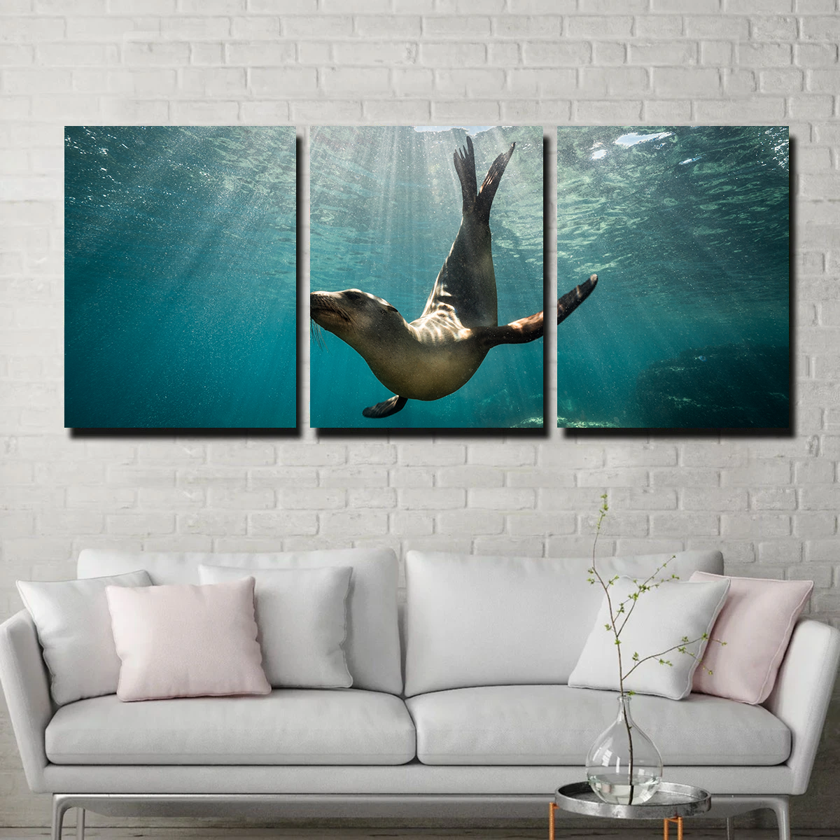 Stunning California Sea Lion Wall Art for Your Home Decor