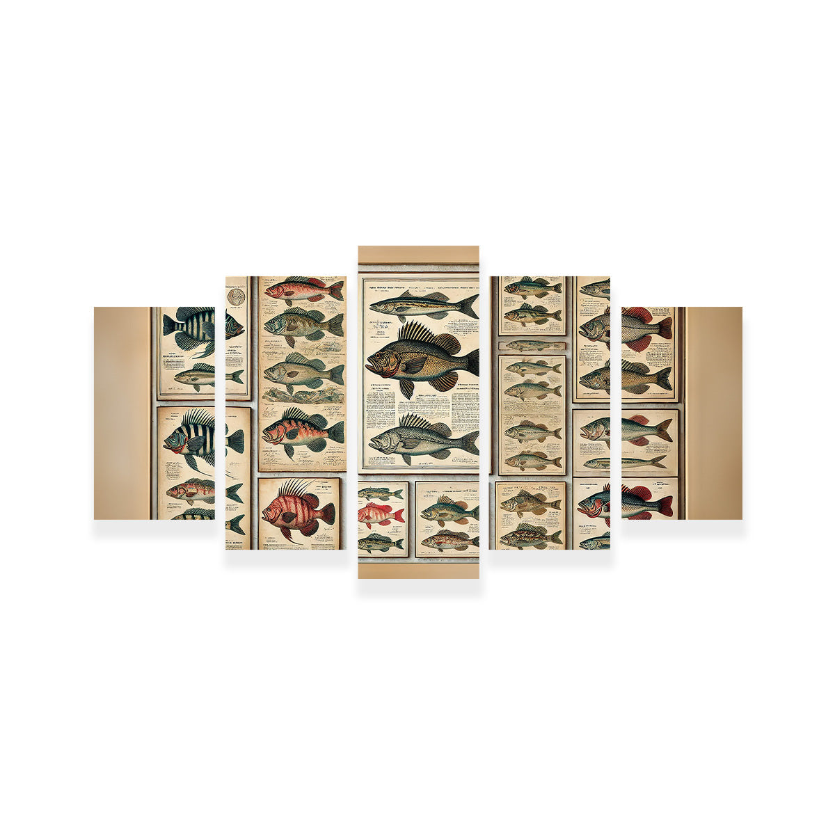 Exquisite Antique Fish Illustrations Wall Art for Stunning Home Decor