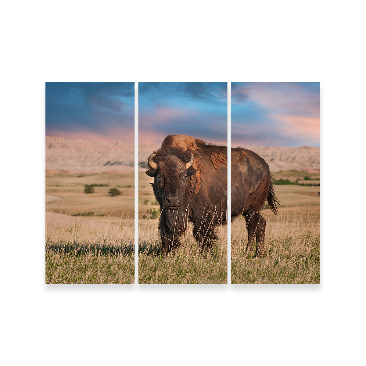 Stunning Badlands Bison Bull Wall Art for Striking Home Decor