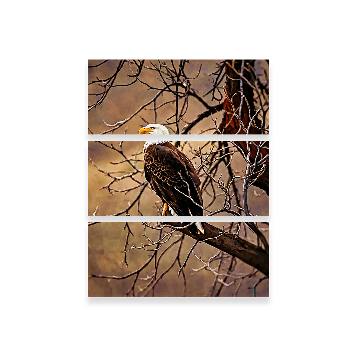 Exquisite Bald Eagle Wall Art by Denise Dundon