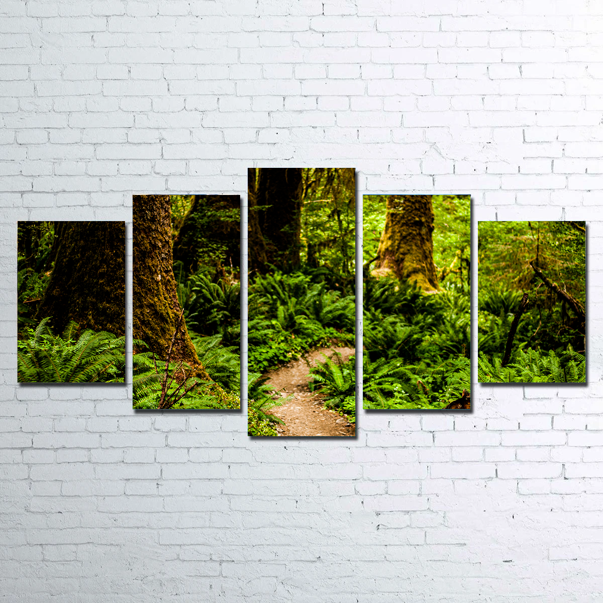 Stunning Hoh Rainforest Wall Art by Kyle Sherry
