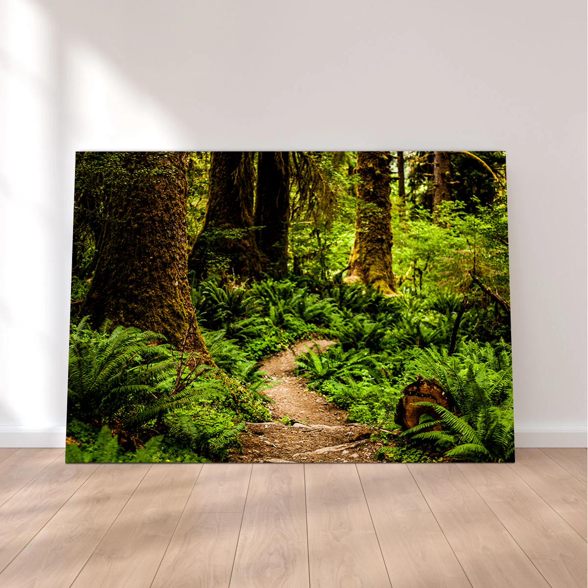 Stunning Hoh Rainforest Wall Art by Kyle Sherry