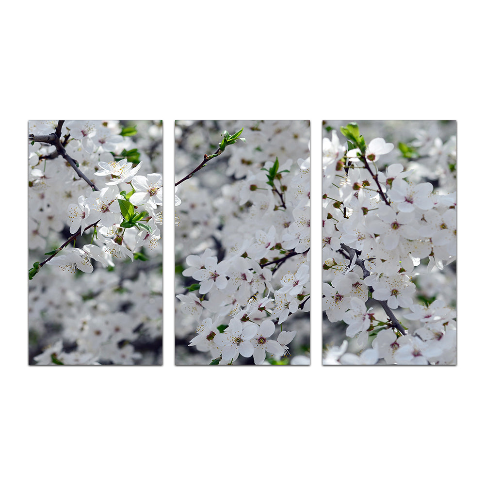 Gorgeous Apple Tree Blossoms Wall Art for Stunning Home Decor