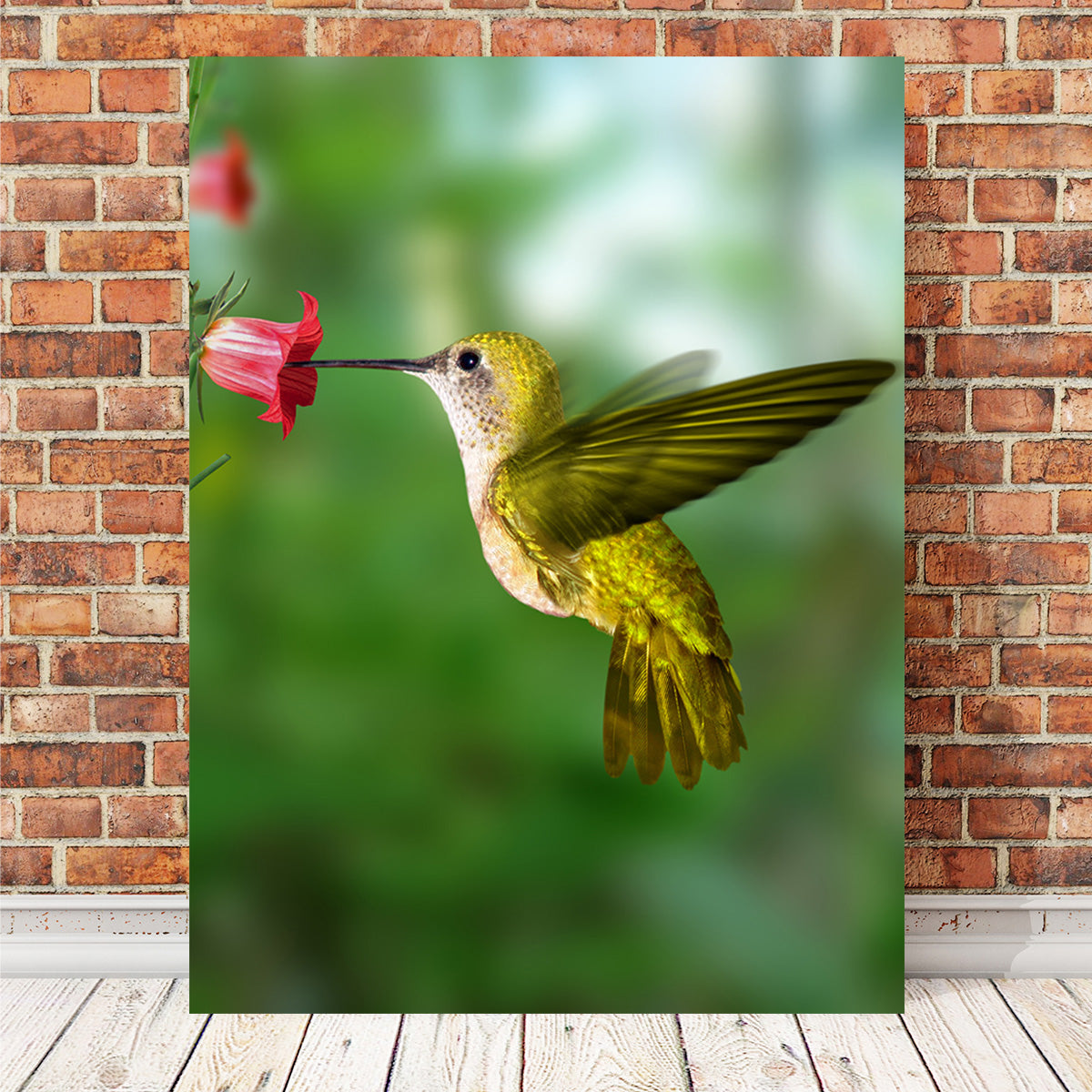 Stunning Hummingbird Flying Wall Art for Your Home Decor