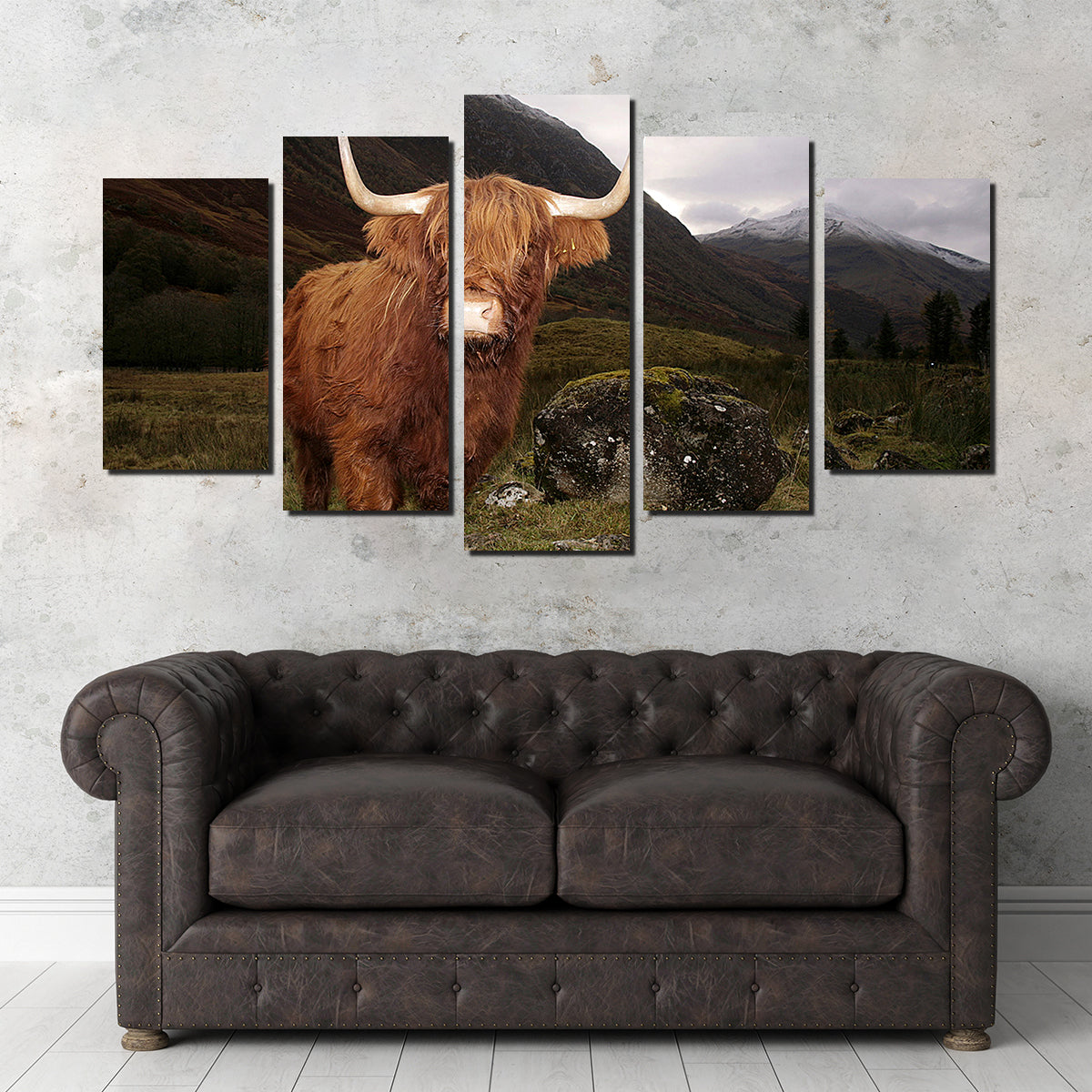Stunning Highland Cow in Glen Coe Wall Art for Home Decor