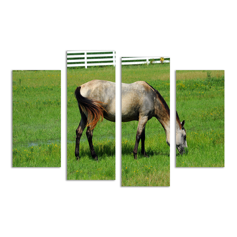 Stunning Arkansas Horse Grazing Wall Art for Home Decor