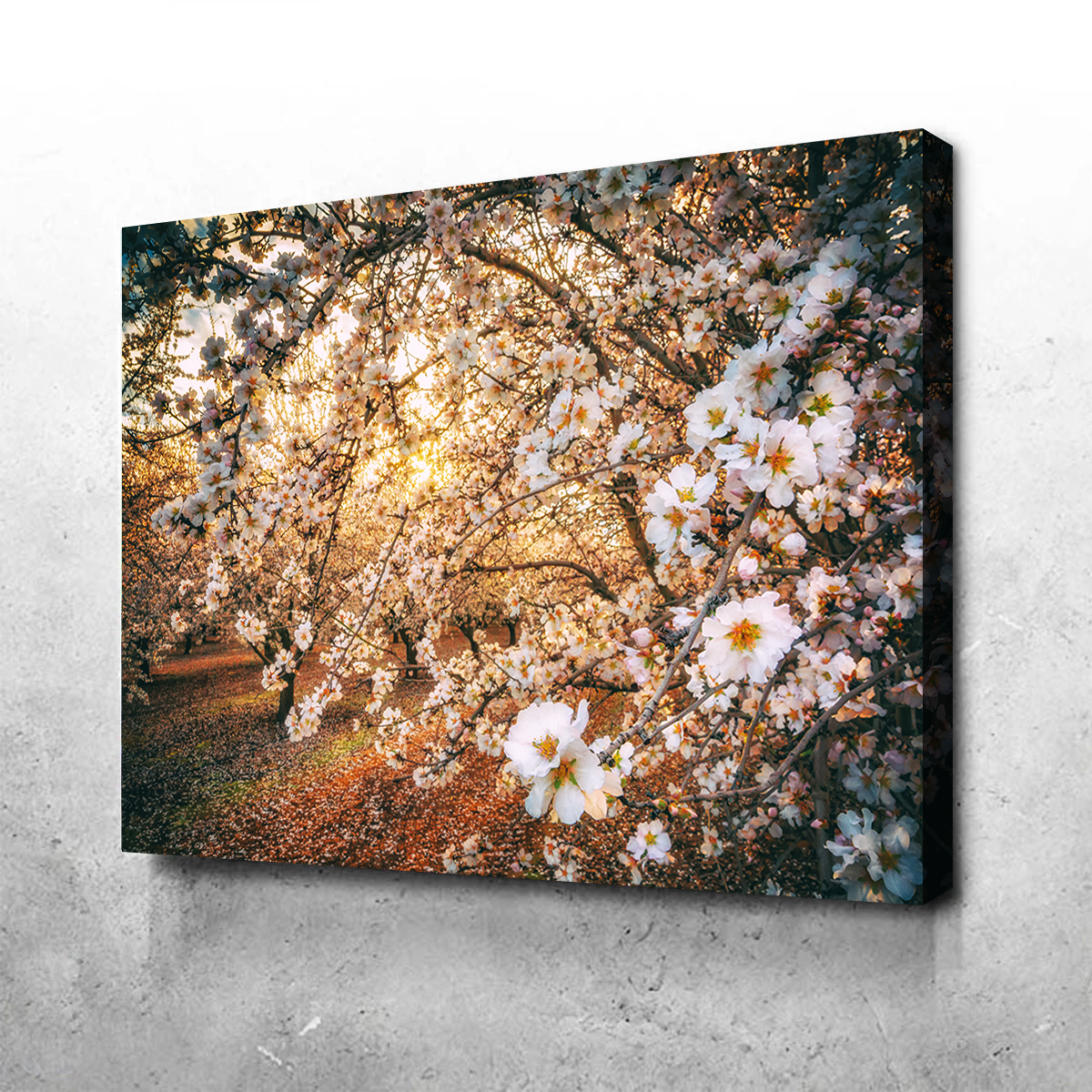 Stunning California Blossom Trail Wall Art for Your Home Decor