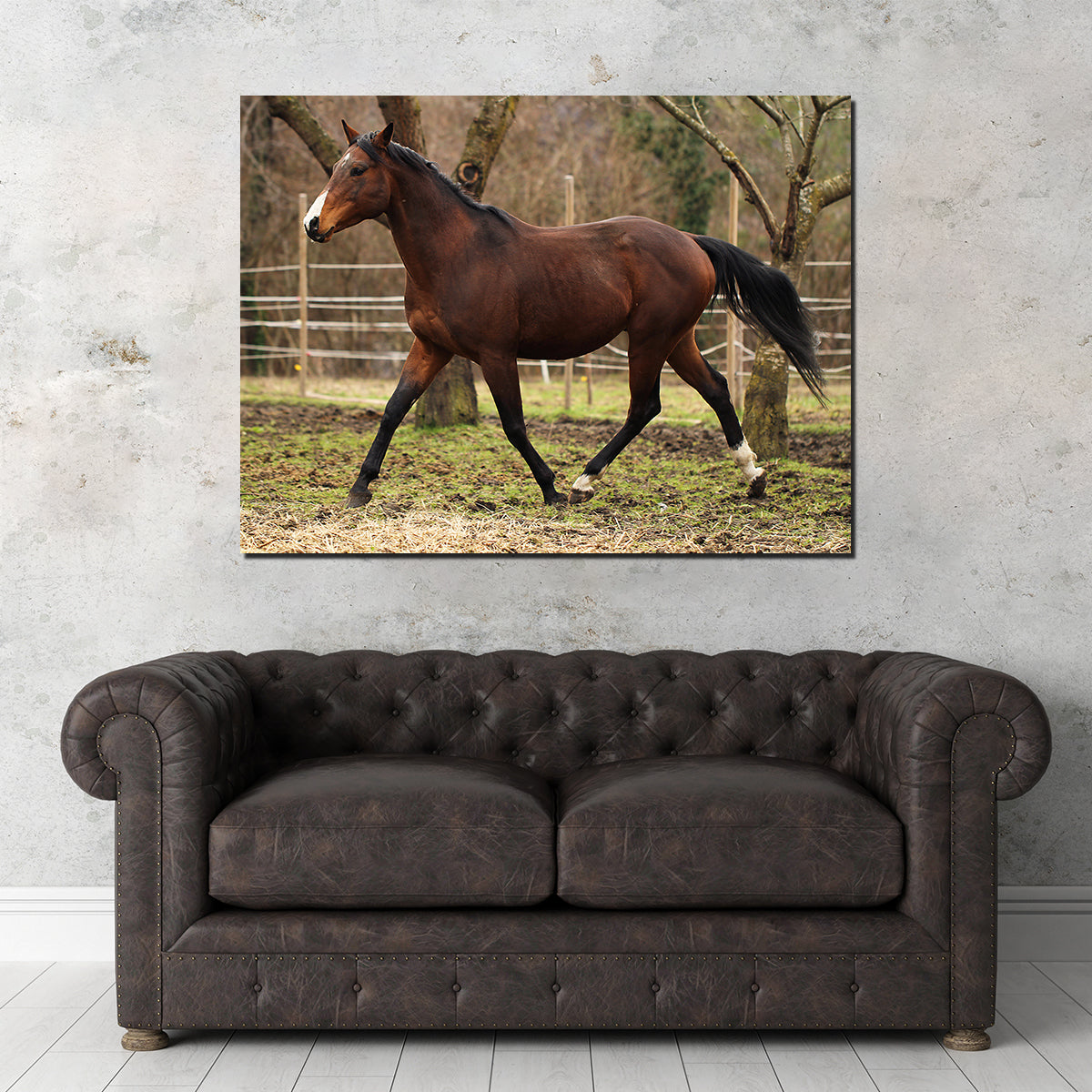 Exquisite American Quarter Horse Stallion Wall Art for Your Home Decor