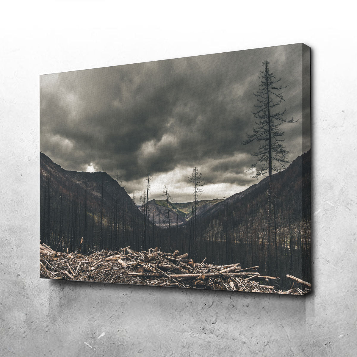 Stunning Ash and Clouds Wall Art by Mike Cotton