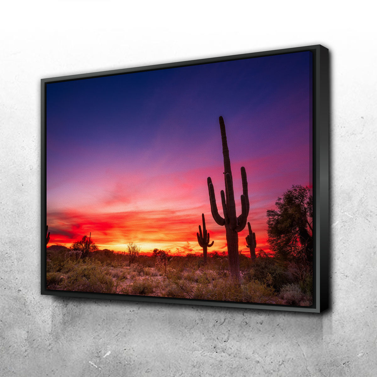 Stunning Arizona Landscape Wall Art for Your Home Decor