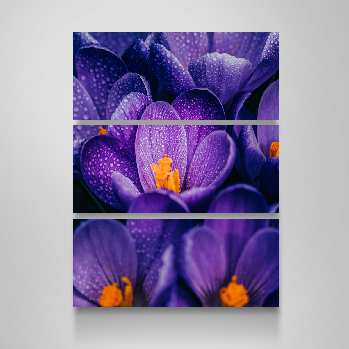 Gorgeous Purple Pollen Wall Art by Manuel Luces