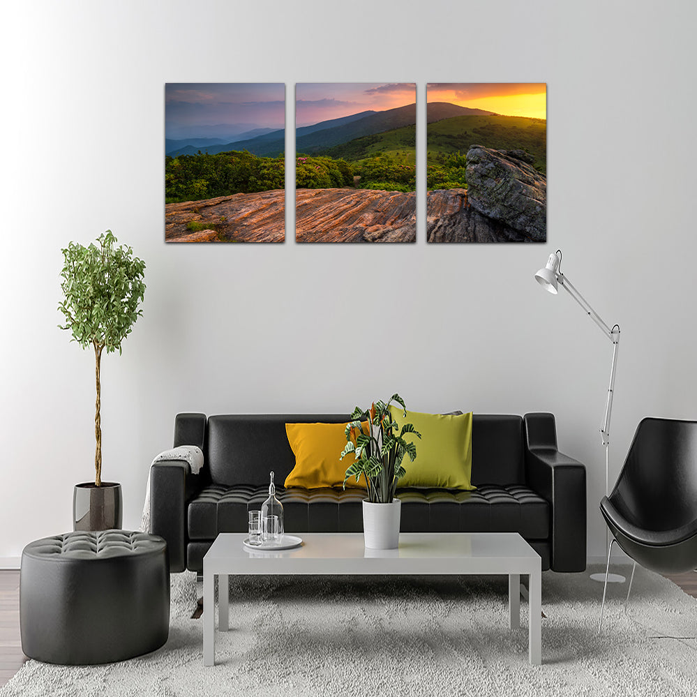 Stunning Appalachian Trail Roan Mountain State Park Wall Art for Your Home Decor