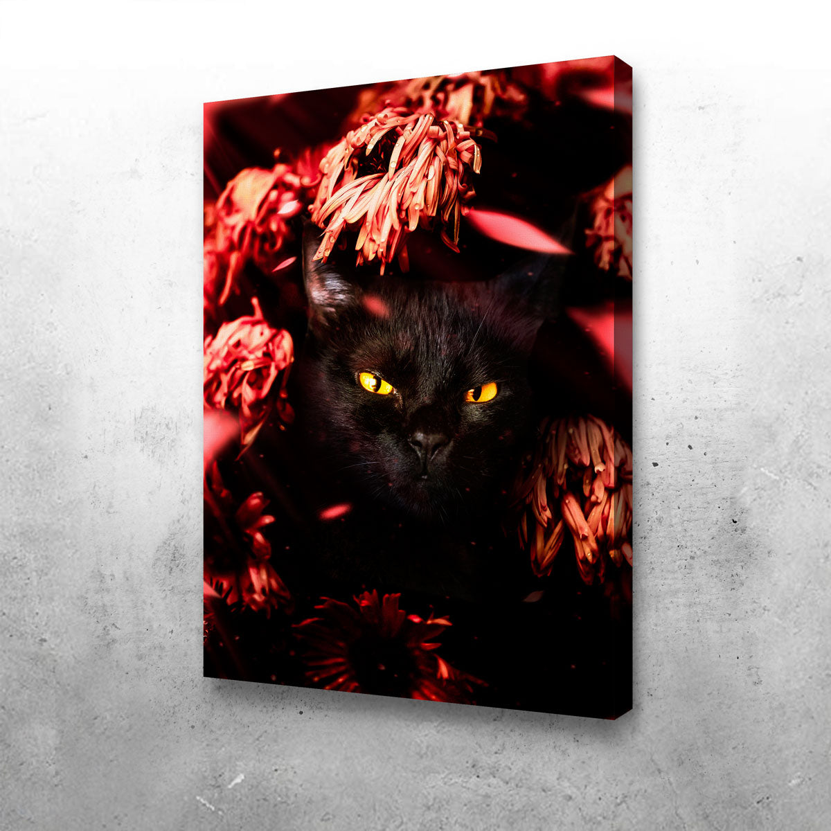 Stunning Cat Black Petals Wall Art by Manuel Luces