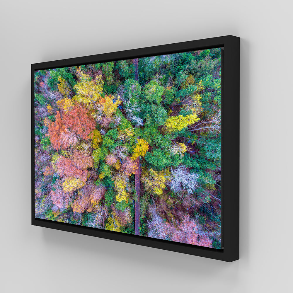 Stunning Bayfront Park Nature Boardwalk Wall Art from Above