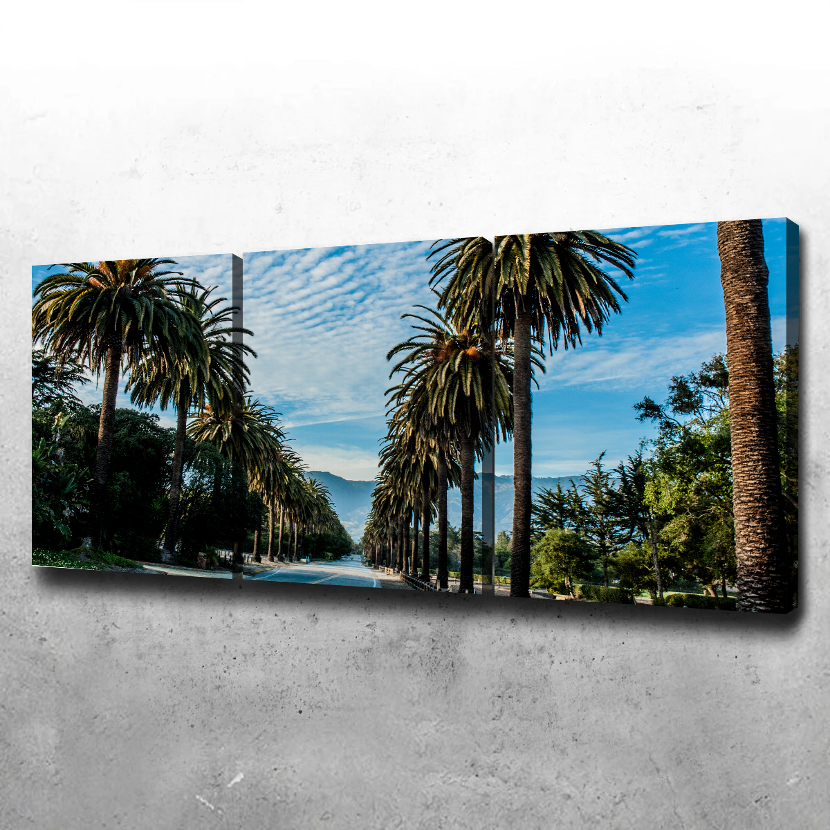 Hope Ranch Palm Drive Exquisite Wall Art by Kyle Sherry