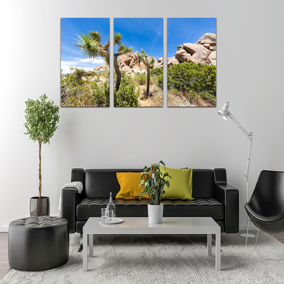 Stunning Impression from Joshua Tree National Park Wall Art for Your Home Decor