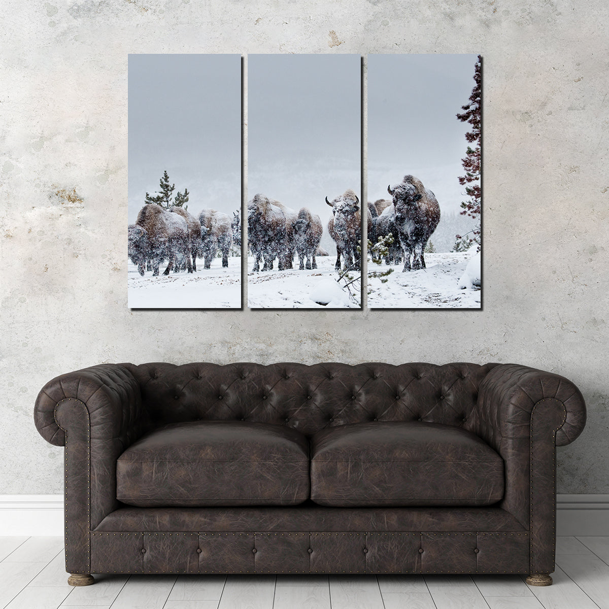 Stunning American Bison in Winter Snow Wall Art for Your Home Decor