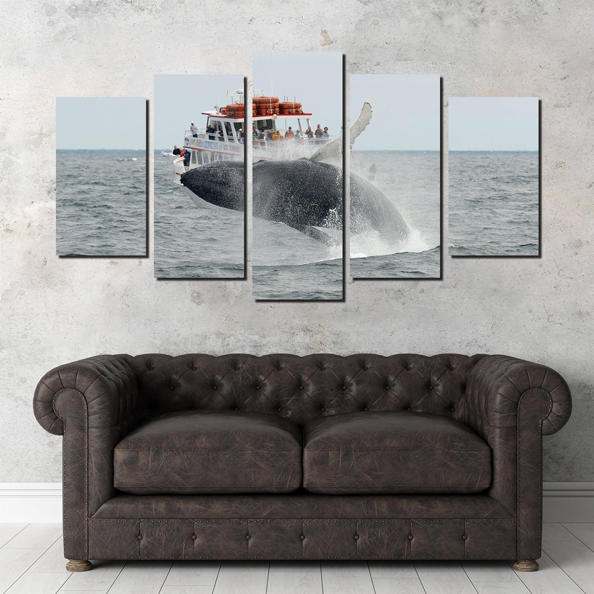 Stunning Humpback - Cape Cod Wall Art for Your Home Decor
