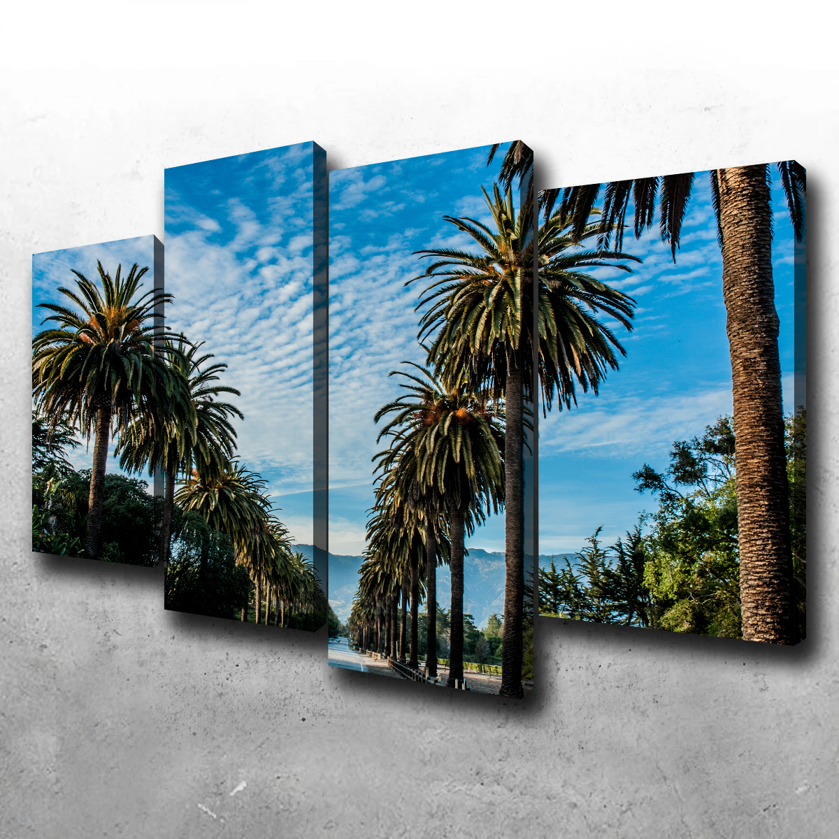 Hope Ranch Palm Drive Exquisite Wall Art by Kyle Sherry