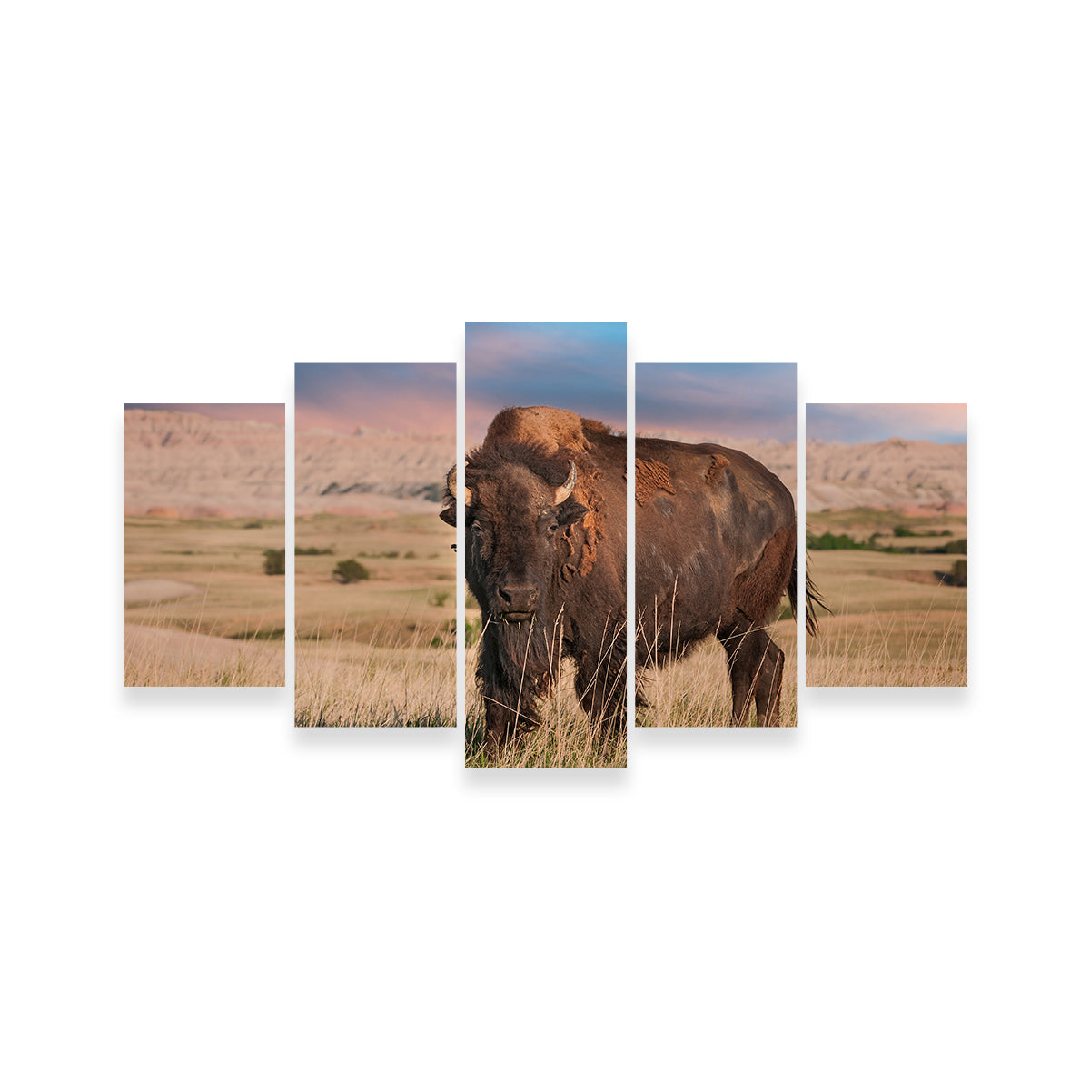 Stunning Badlands Bison Bull Wall Art for Striking Home Decor