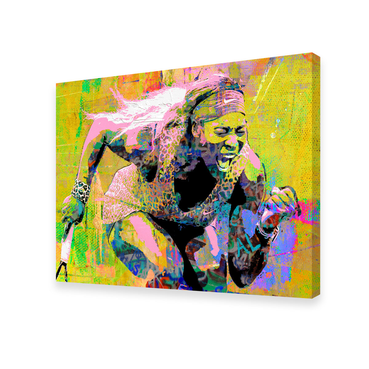 Stunning Serena Wall Art by Stephen Chambers