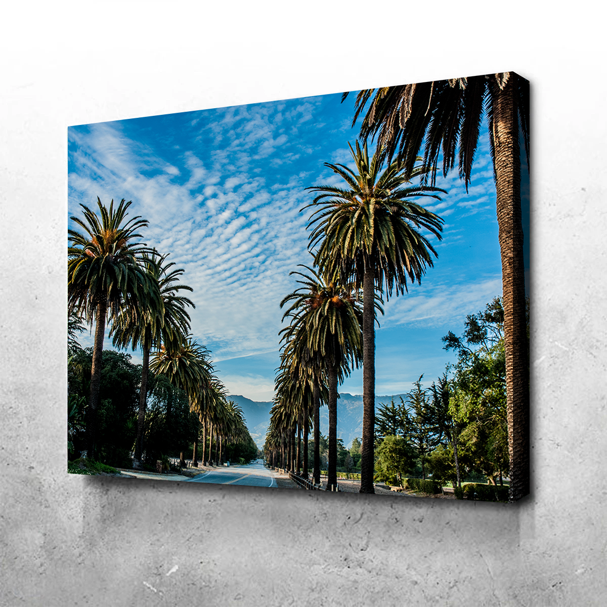Hope Ranch Palm Drive Exquisite Wall Art by Kyle Sherry