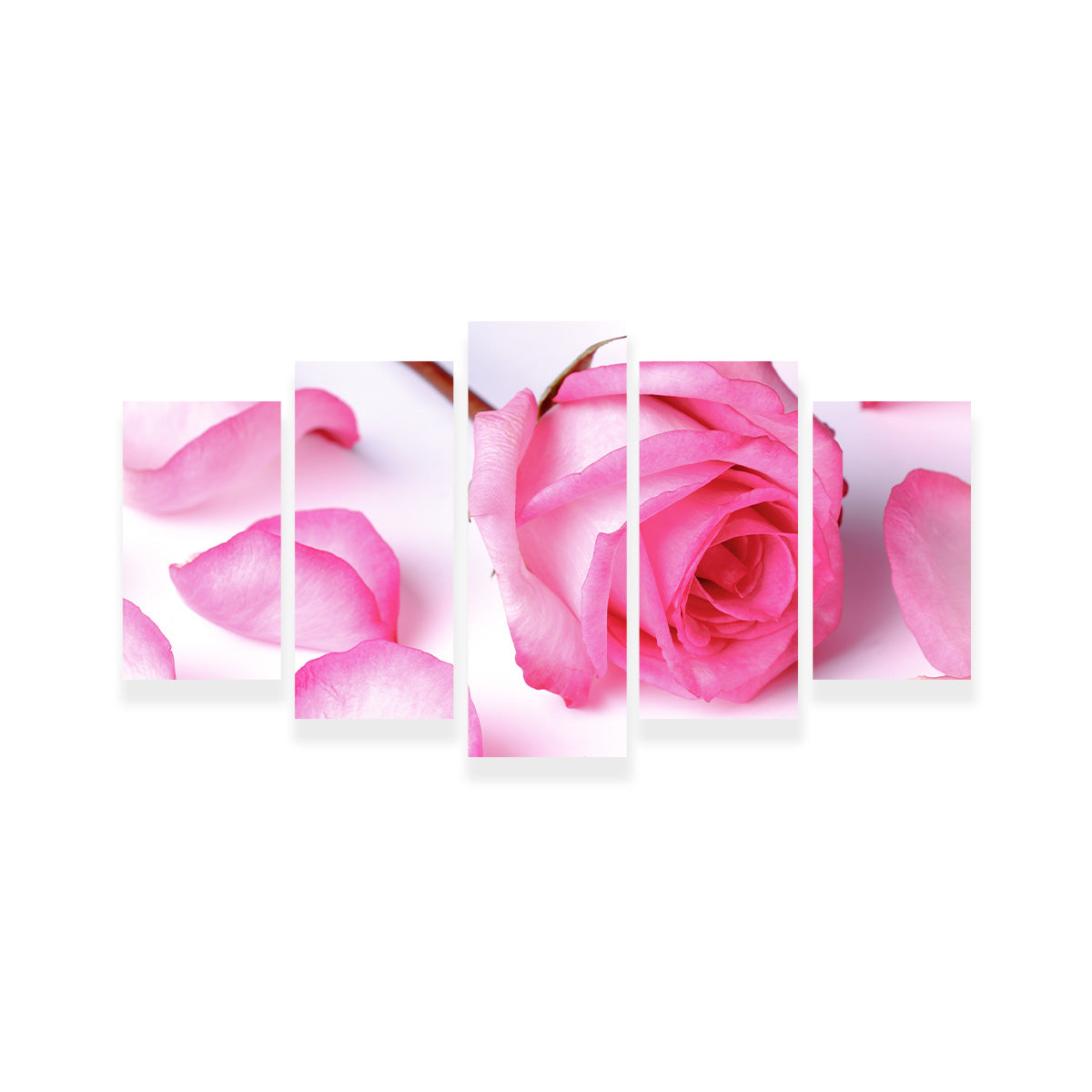 Gorgeous Pink Rose Petals for Decoration