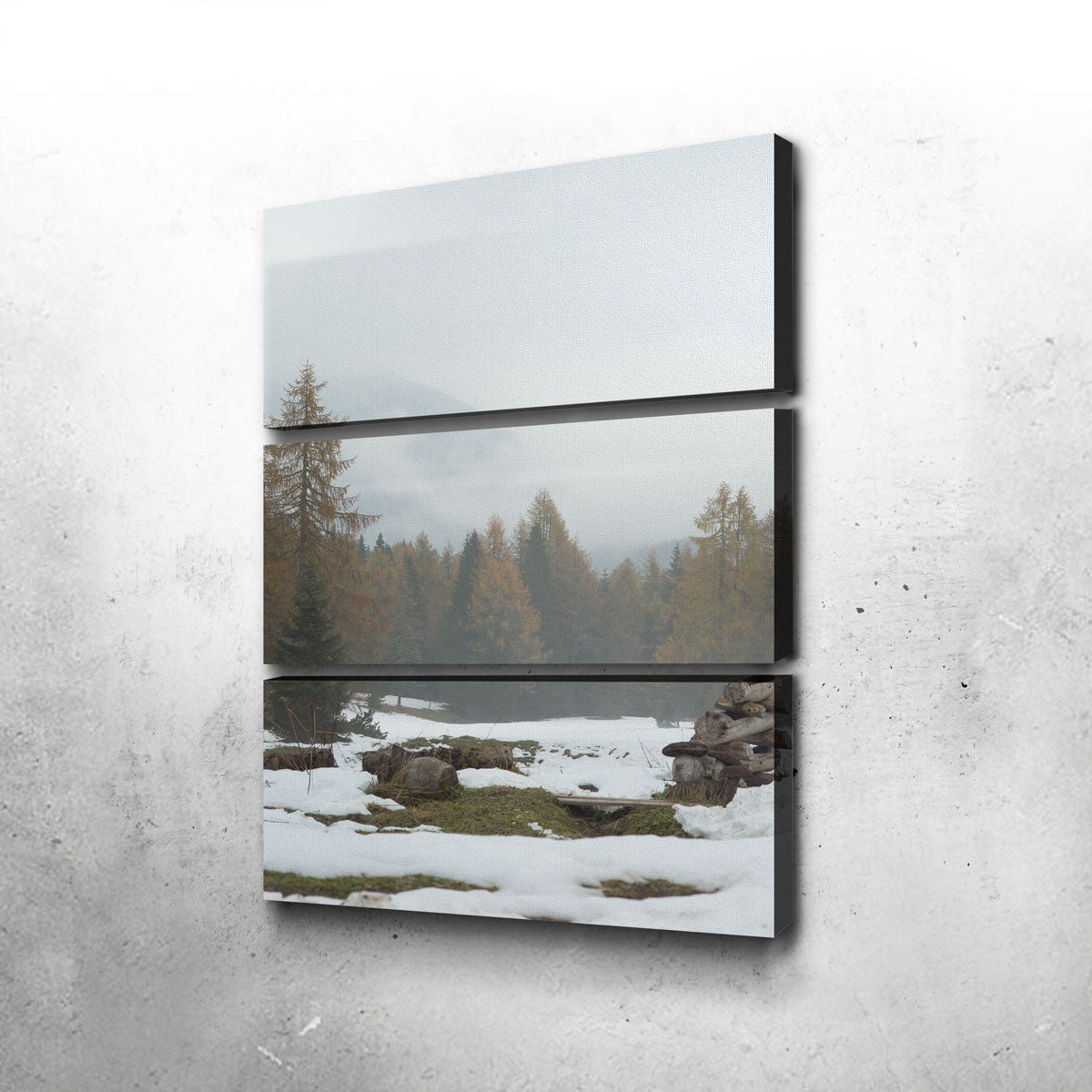 Stylish Autumn and Winter Wall Art by Enzo Romano