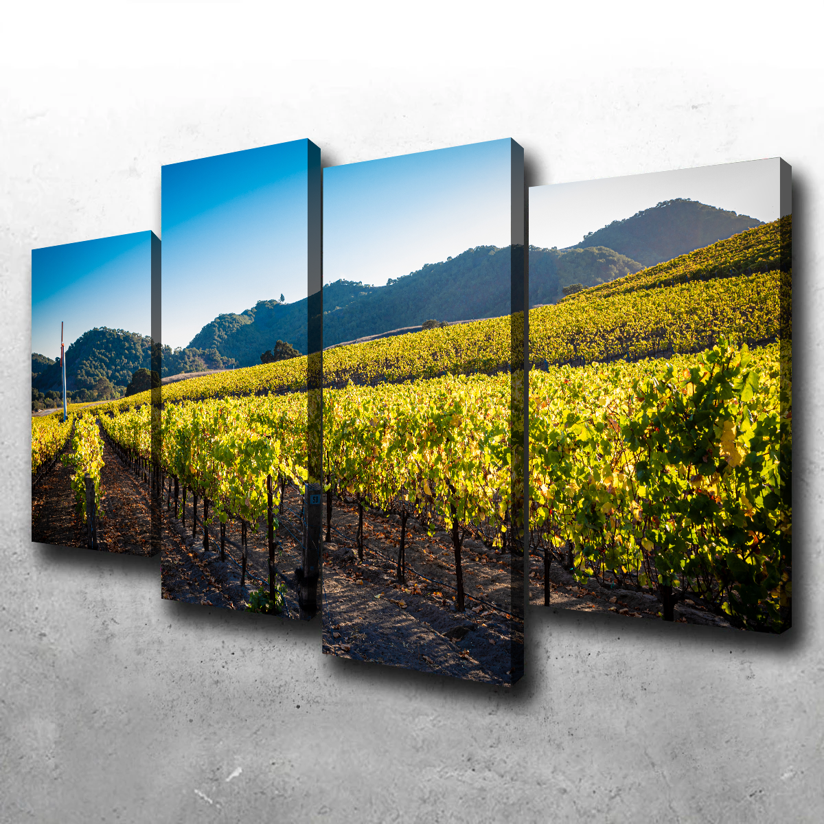 Stunning Central California Vineyard Wall Art for Your Home Decor