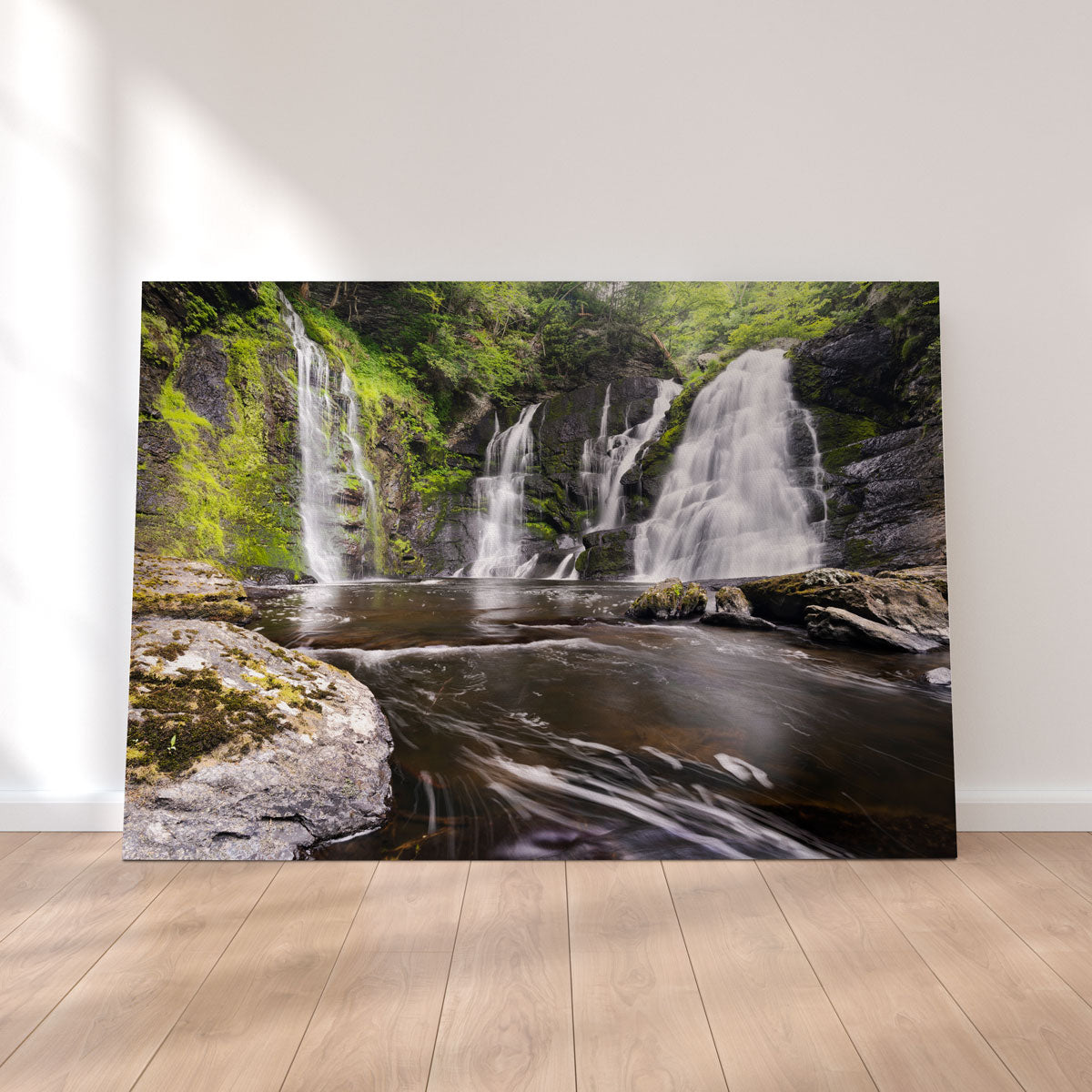Exquisite Serenity Wall Art by Shaun Mayer