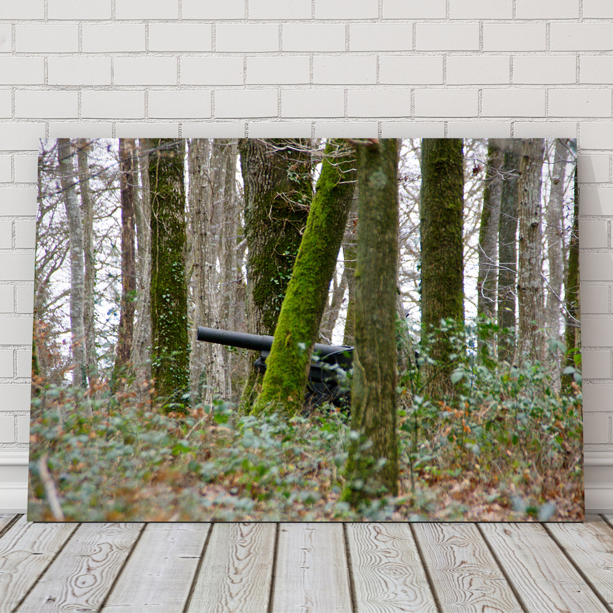 Exquisite Belleau Wood Wall Art by David Campbell