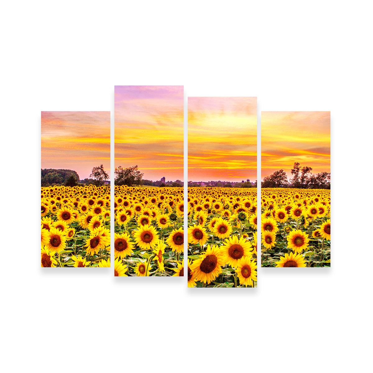 Stunning Bed of Sunflowers Wall Art for Your Home Decor