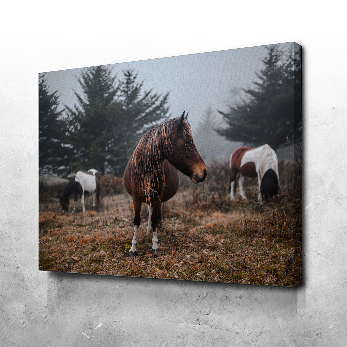Stunning In The Wild Wall Art by Lucas Moore