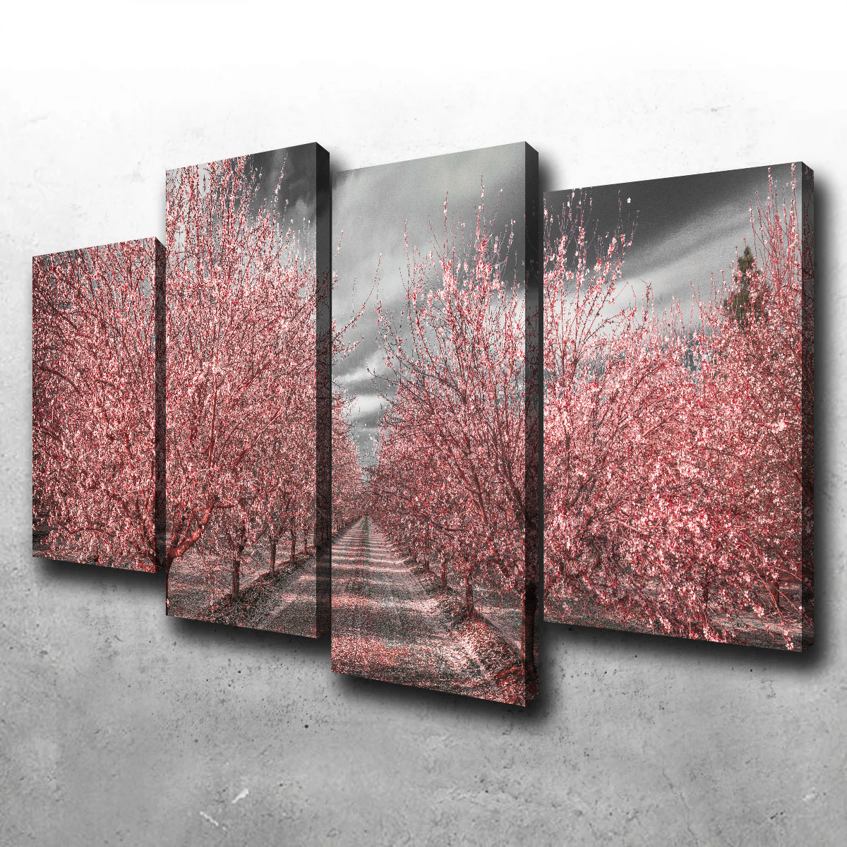 Stunning California Pink Blossoms Wall Art for Your Home Decor