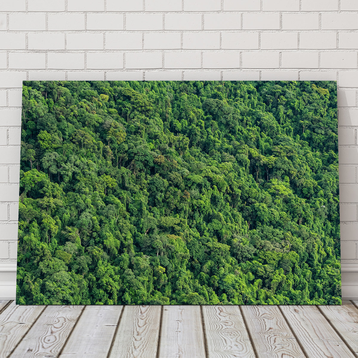 Stunning Atlantic Forest Wall Art by Sofia Leite Fonseca