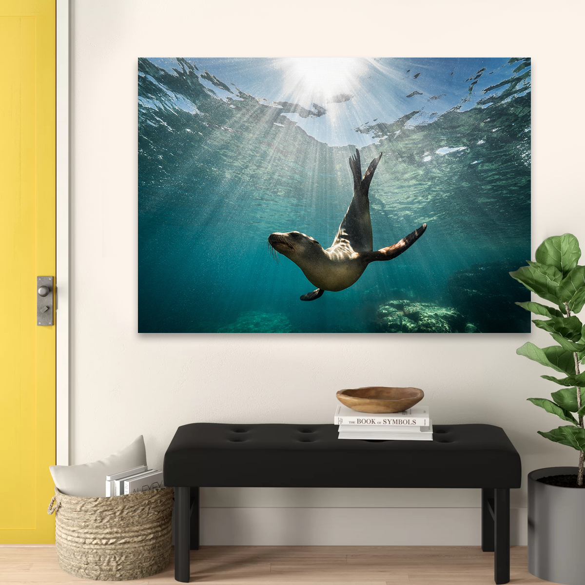 Stunning California Sea Lion Wall Art for Your Home Decor