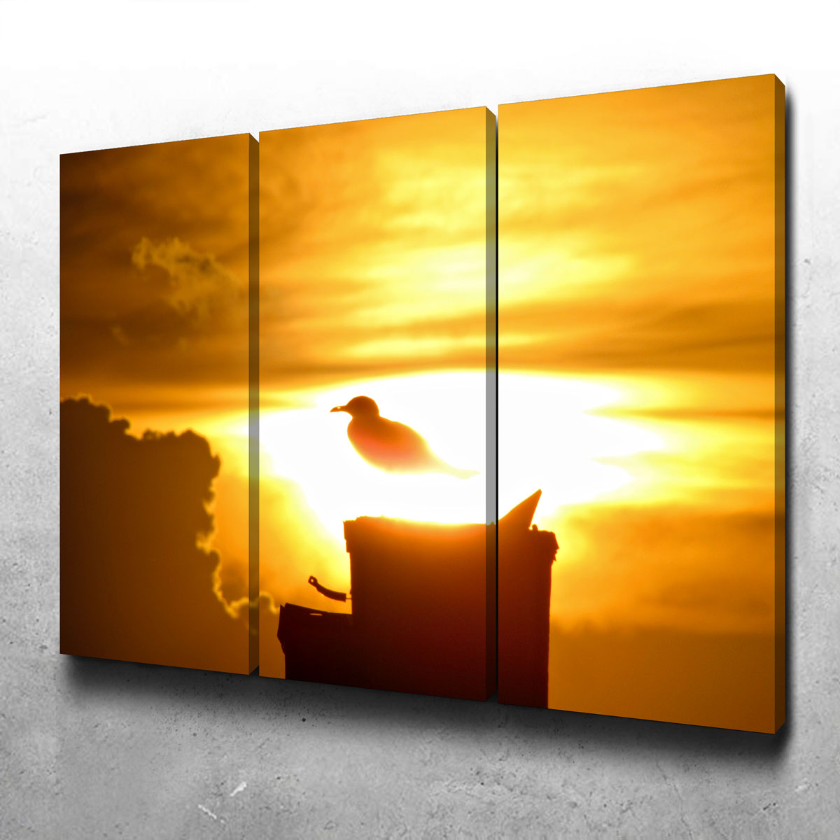 Stunning Nuclear Seagull Wall Art by David Campbell