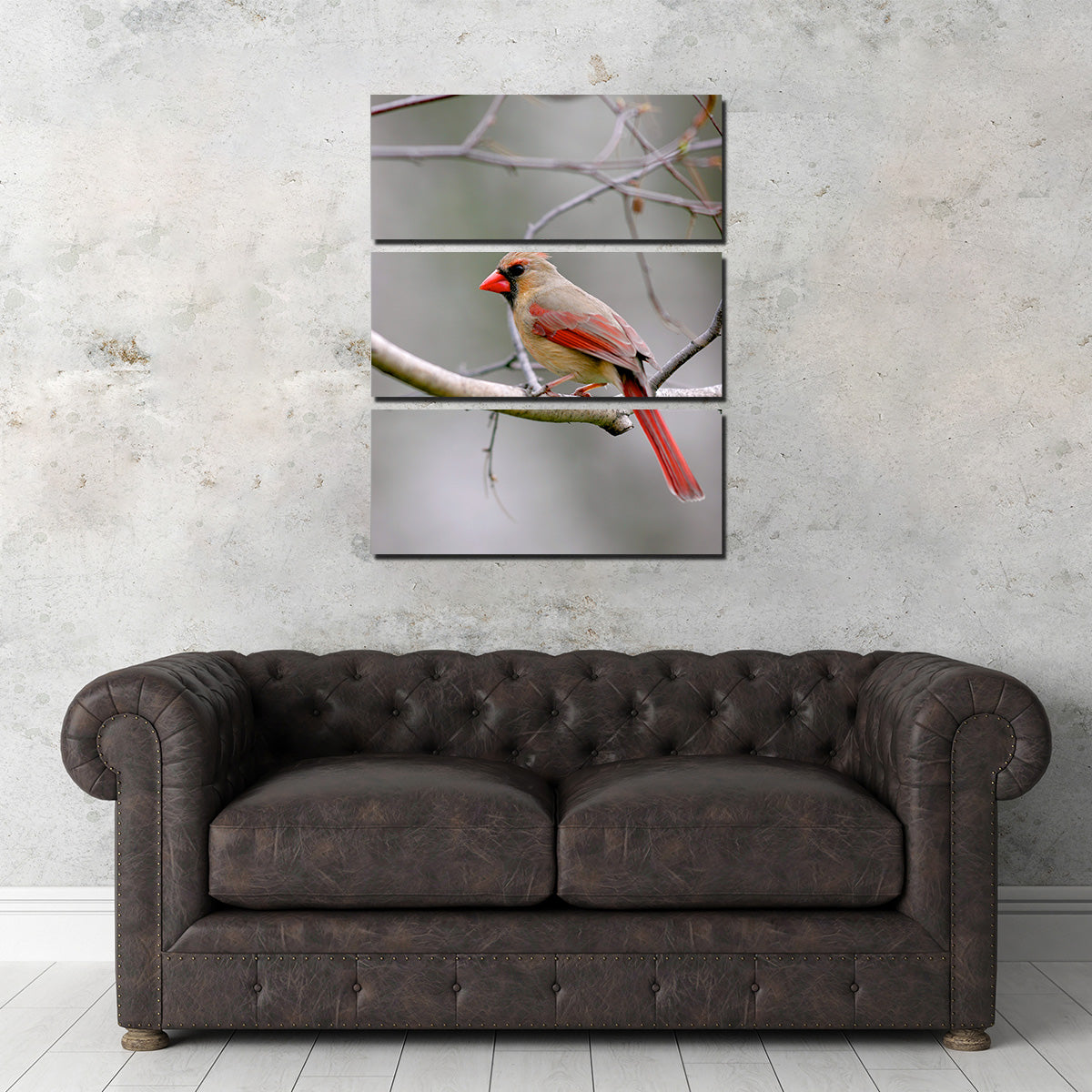 Exquisite Northern Cardinal Female Wall Art for Home Decor