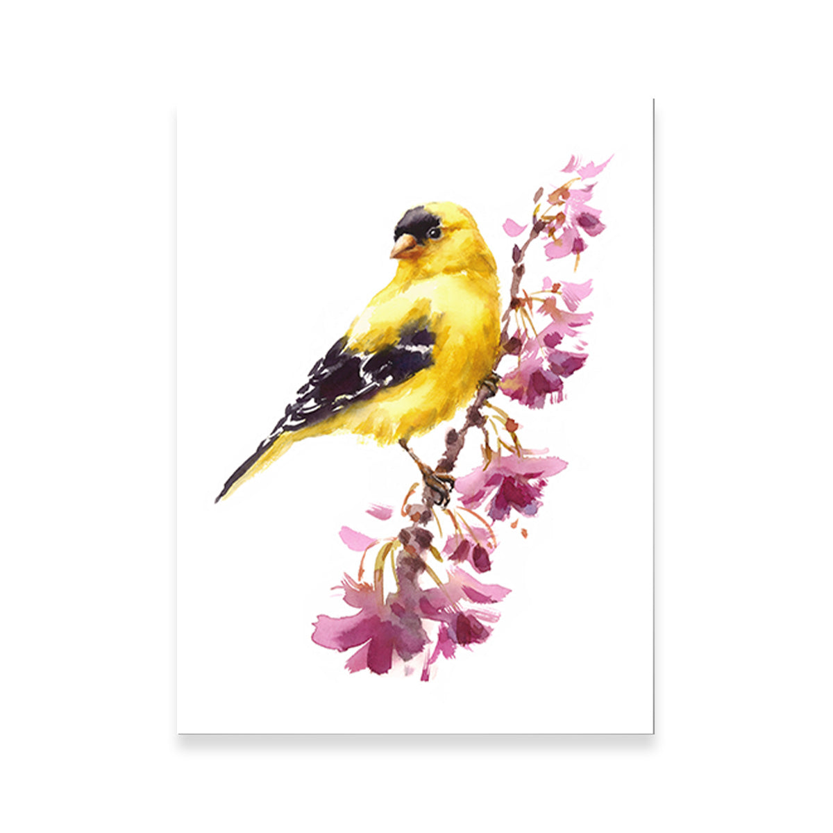 Stunning American Goldfinch Wall Art for Your Home Decor