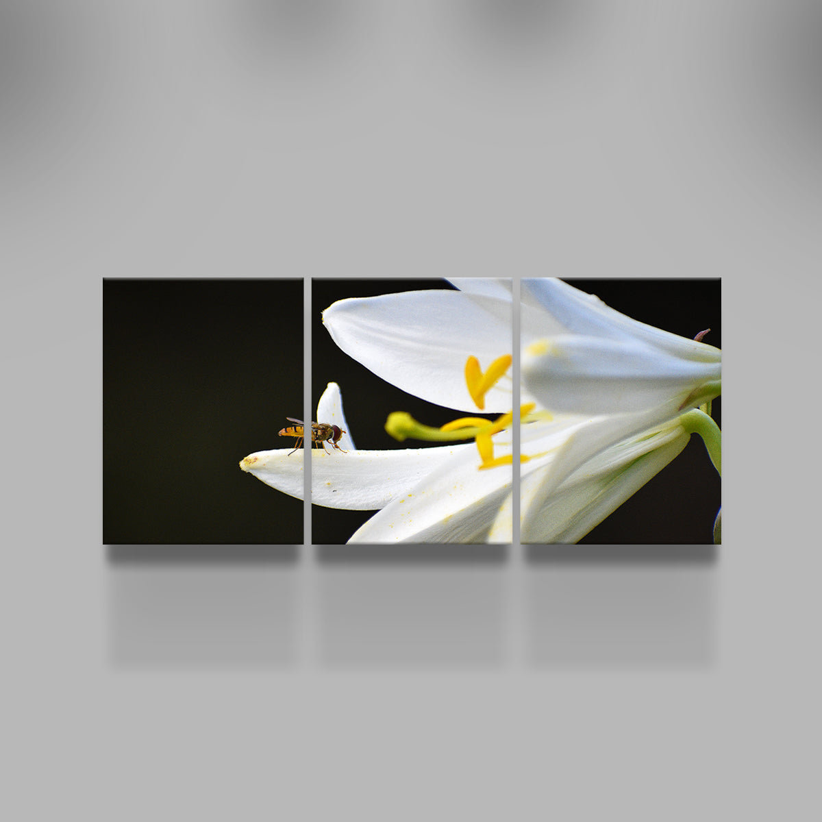 Exquisite Pollen Wall Art by George Sorin