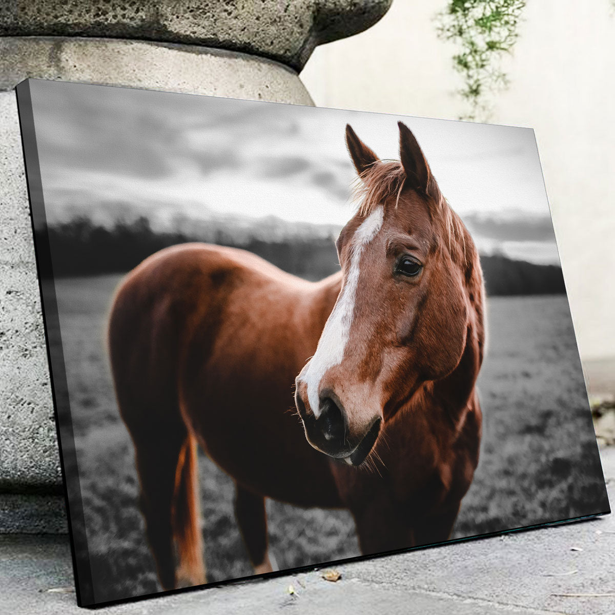 Exquisite Shining Horse Wall Art by Lucas Moore