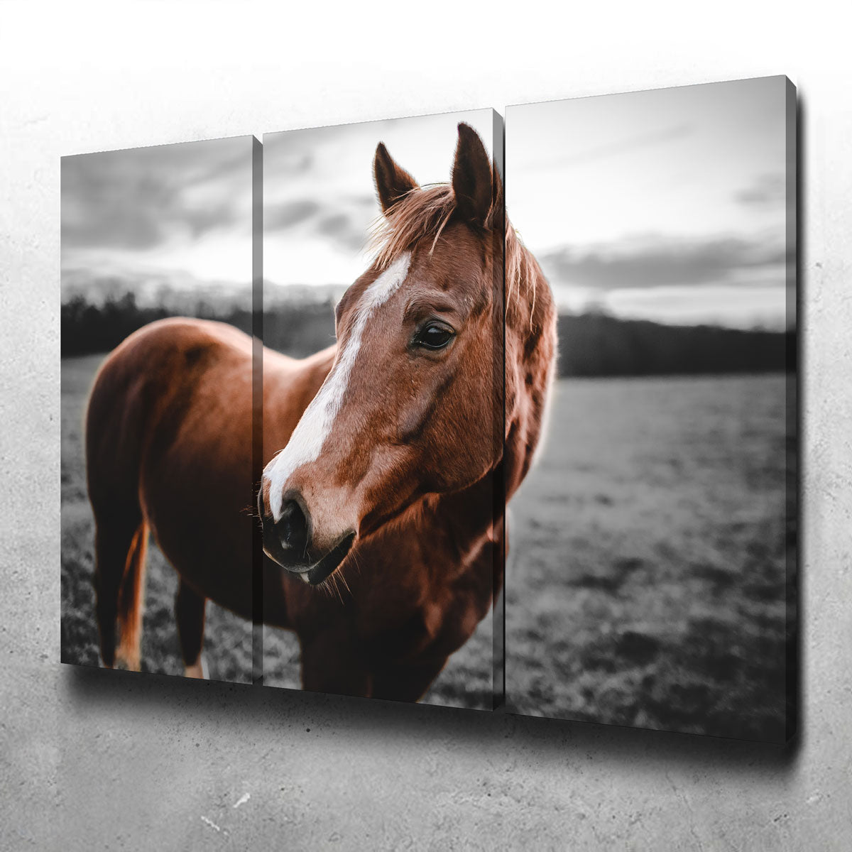 Exquisite Shining Horse Wall Art by Lucas Moore