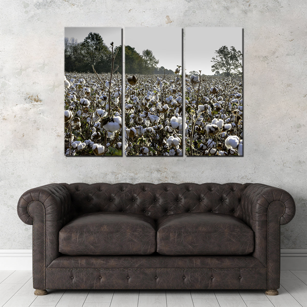 Stunning Alabama Cotton Field Wall Art for Your Home Decor