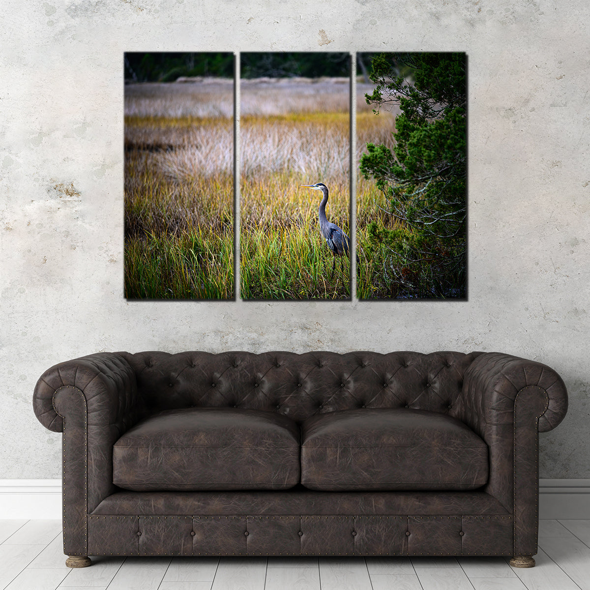 Stunning Heron Jekyll Island Wall Art by Barry Pack